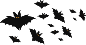 bats